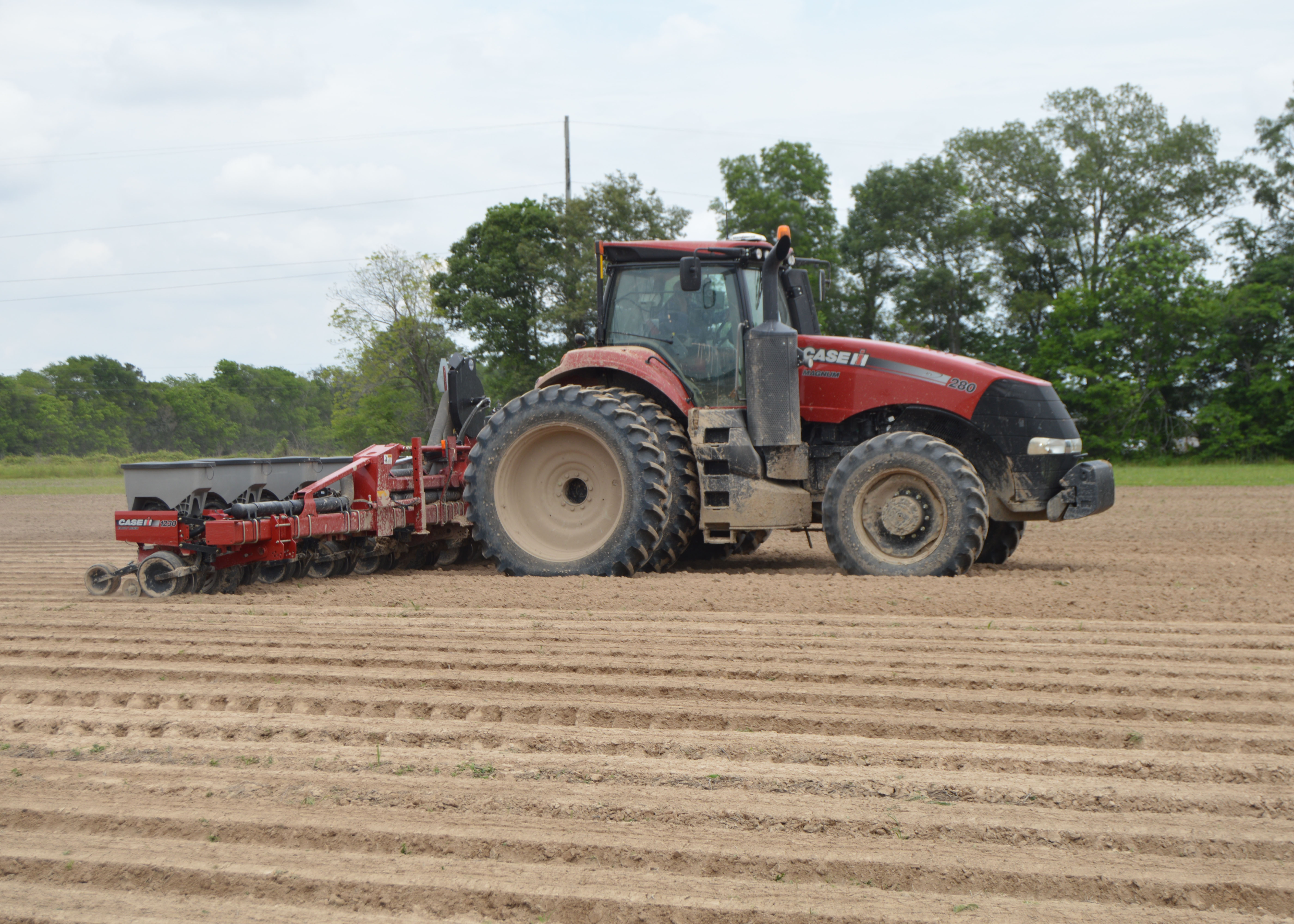 soybean planting in Ouchita Parish1.jpg thumbnail